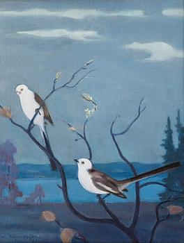 440. Wille Boijer-poijärvi, LONG-TAILED TITS.