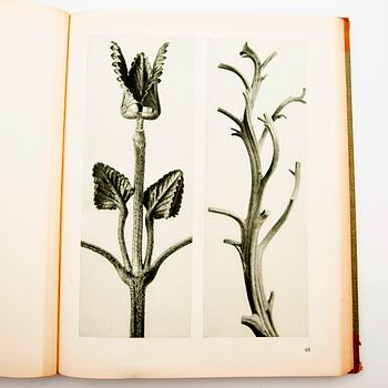 Book, "Art Forms in Nature", Karl Blossfeldt, Spamersche Buchdruckerei, Leipzig, 1930.