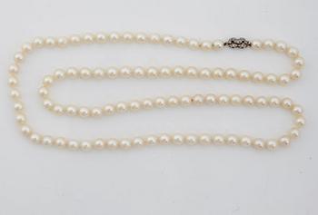 COLLIER, med odlade pärlor.