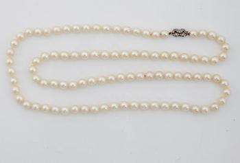 A cultured pearl necklace.