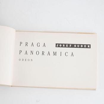 Josef Sudek,
