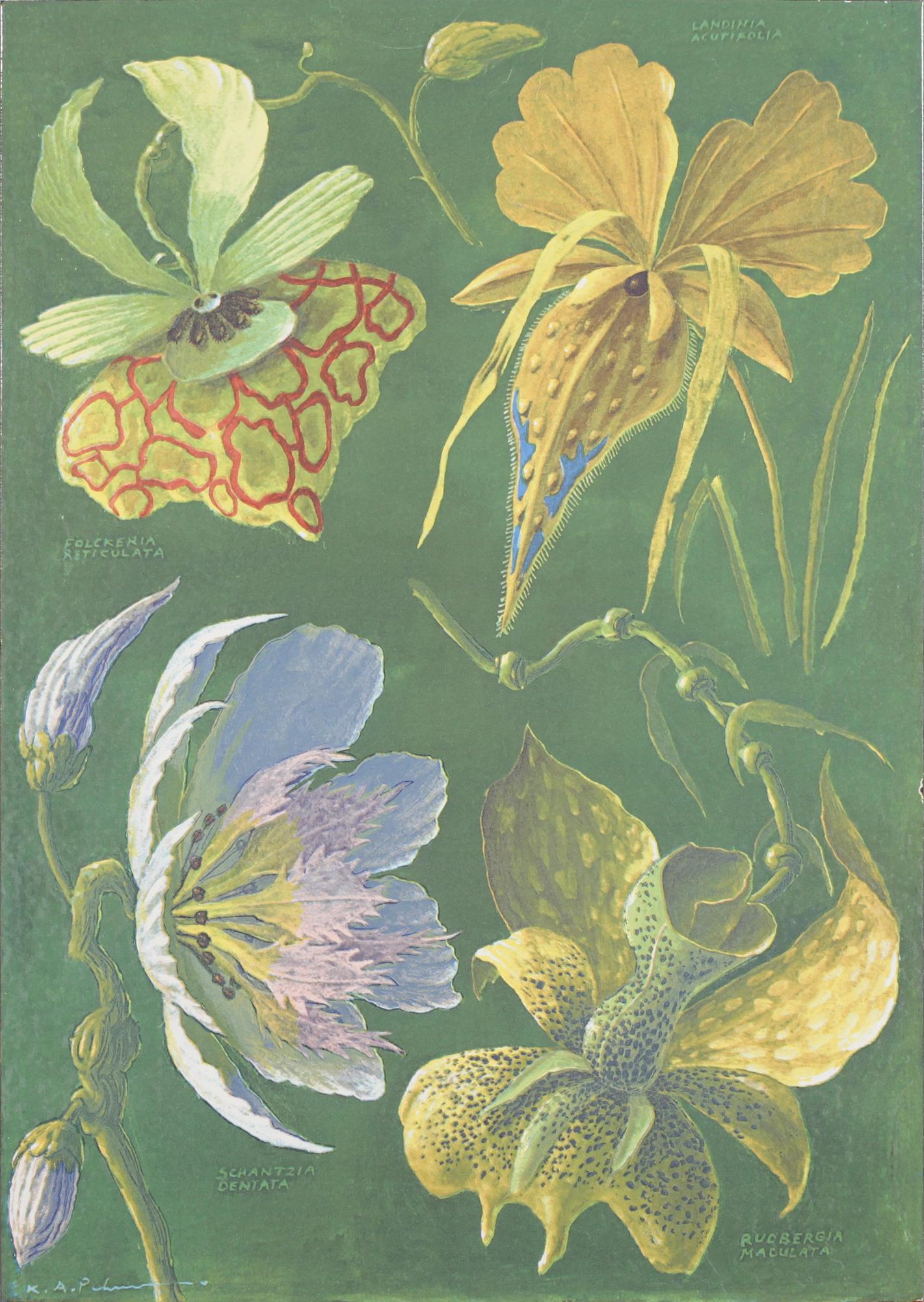 KARL AXEL PEHRSON, emalj på plåt, signerad i trycket.