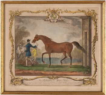 RICHARD HOUSTON, efter, 6 st, mezzotintetsningar, daterade i tryck 1755 respektive 1756.