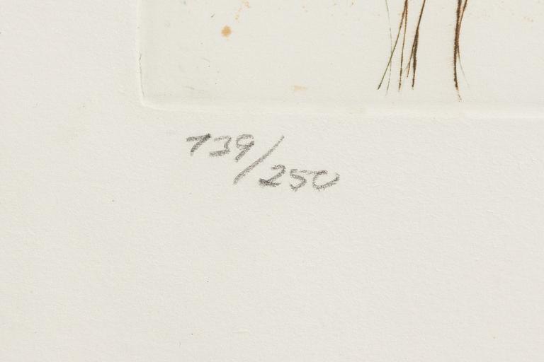 Salvador Dalí, "Return of Shulamite" Ur Song if Songs of Salomon.