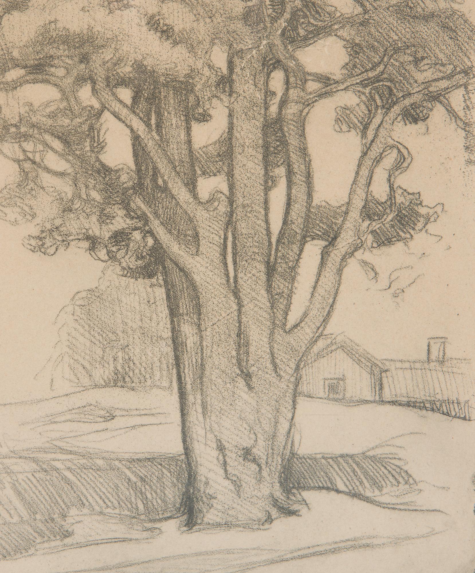 Eero Järnefelt, "Tuomalan mänty I".