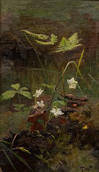 TORSTEN WASASTJERNA, VÅRBLOMMOR.