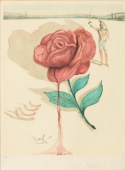 Salvador Dalí, 'Don José's Flower Song' from 'Carmen'.