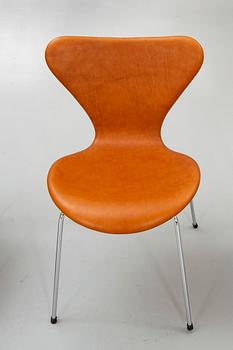 Arne Jacobsen, stolar, 6 st, "Sjuan", Fritz Hansen, Danmark 1900-talets senare del.