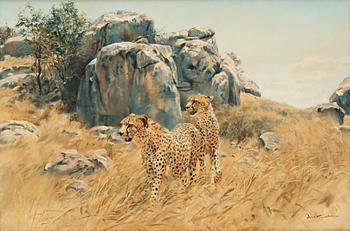 Donald Grant, Cheetah beside a cliff.