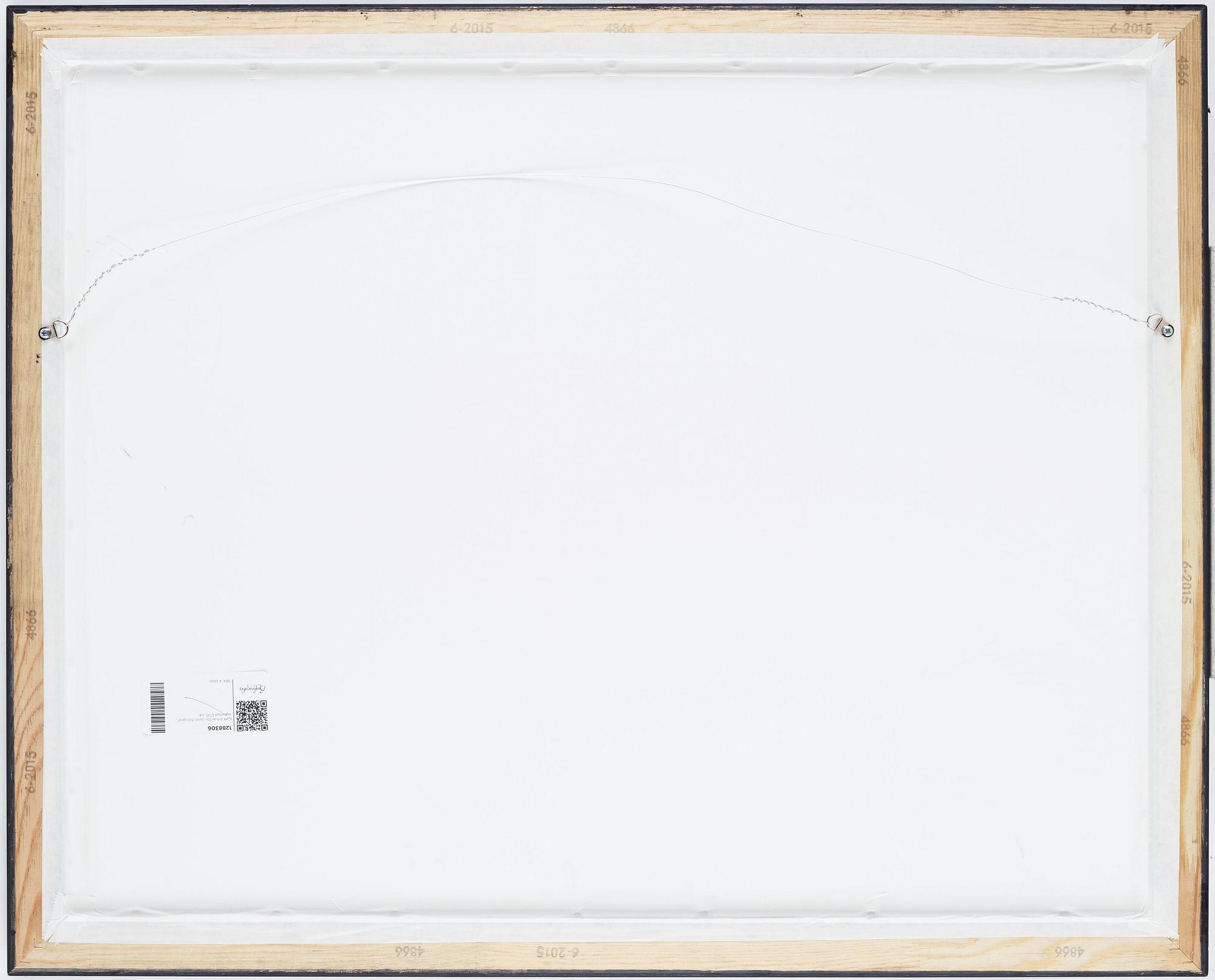 Carl Johan De Geer, photograph, signed 1/20.