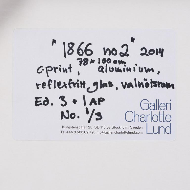 Denise Grünstein, "1866 No. 2", 2014.
