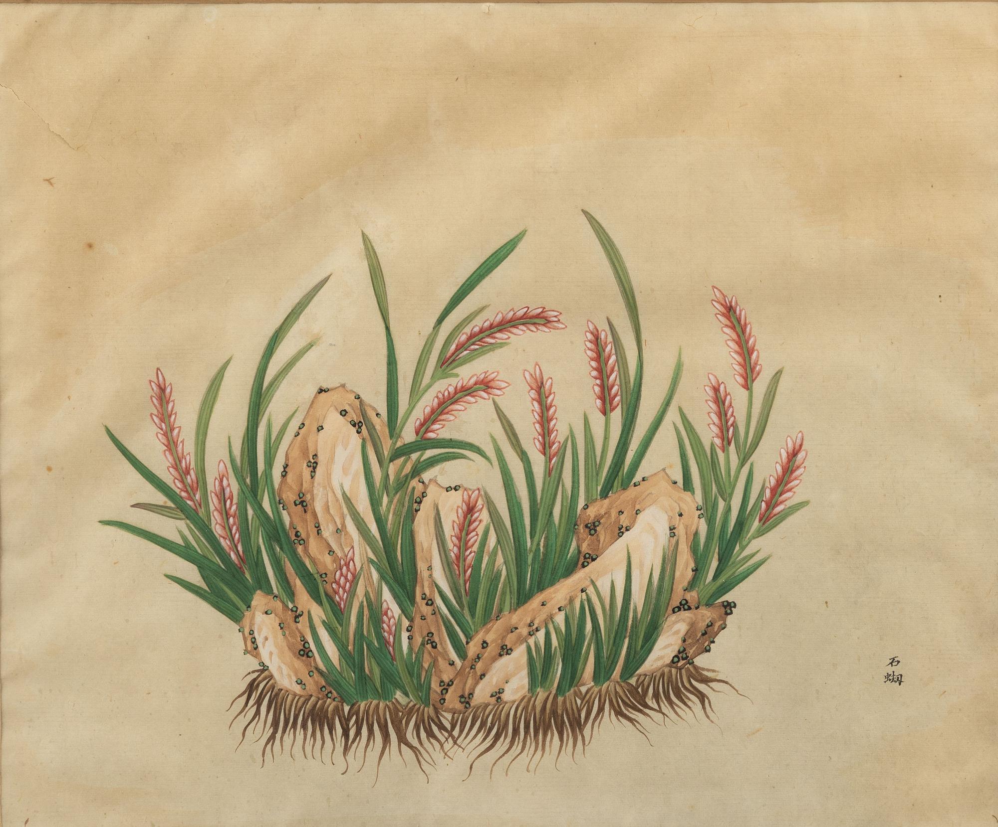 Unknown artist, watercolour, China, 20th century.