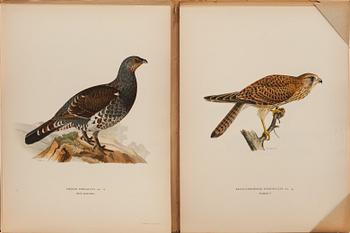 M o W VON WRIGHT, "Svenska fåglar", ca 50 häften, Ivar Baarsens förlag, Stockholm, 1910-1920-tal.