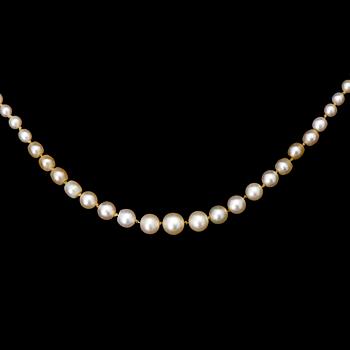 A PEARL NECKLACE, oriental pearls, clasp 18K gold with rose cut diamonds.