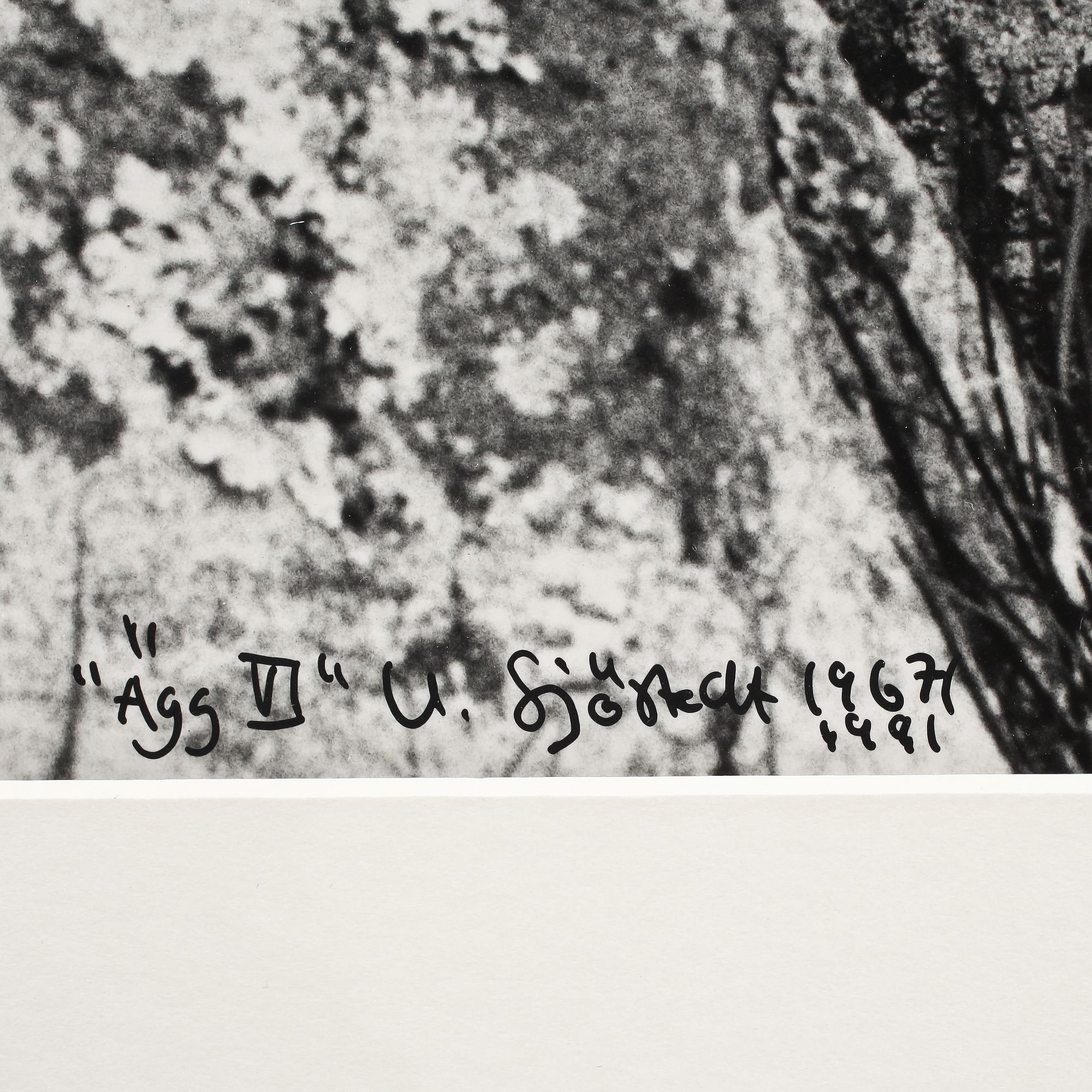 ULF SJÖSTEDET, fotografi, sign o dat 1981.