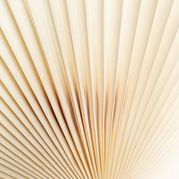 Le Klint, a ceiling lamp, Denmark.