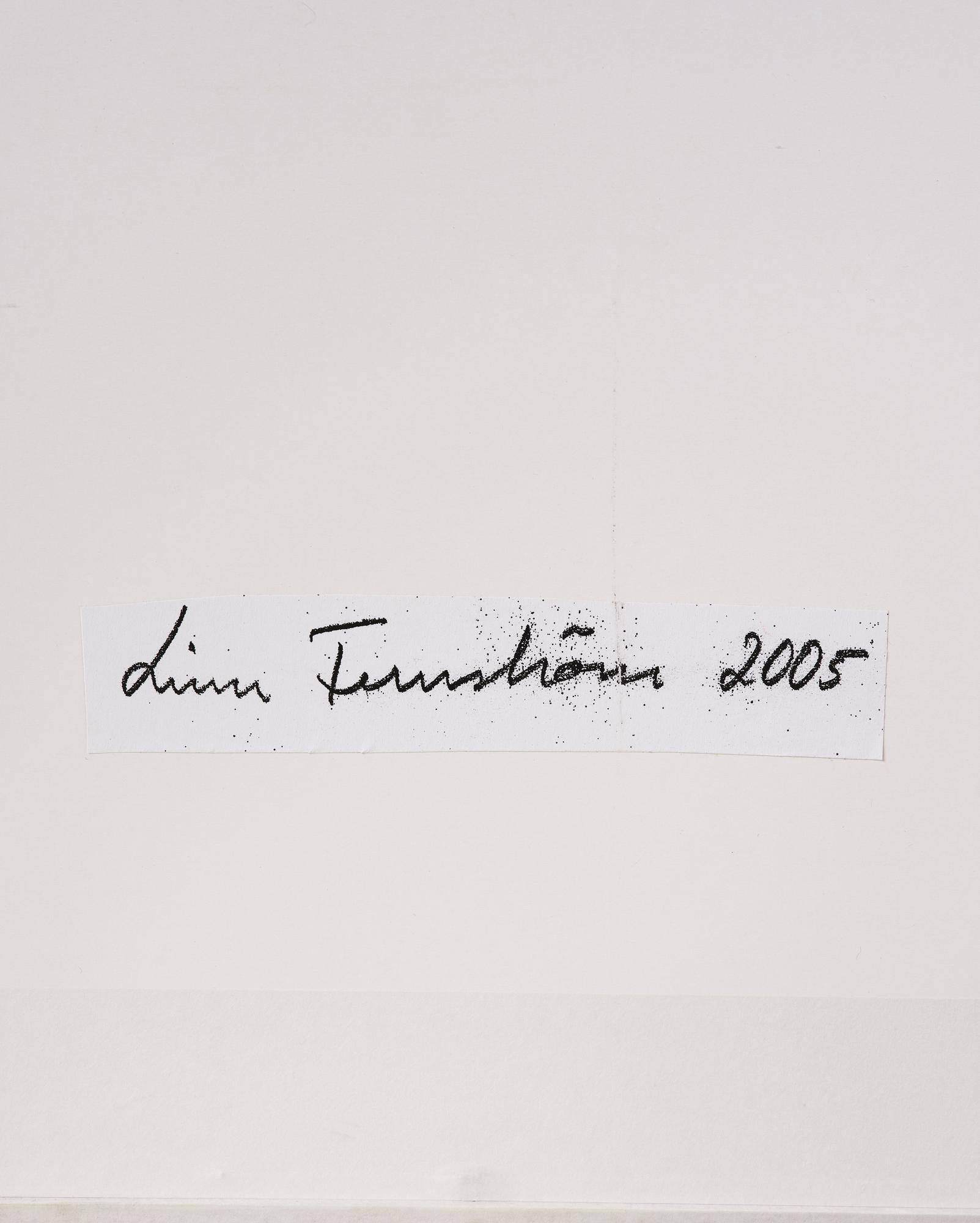 Linn Fernström, "Apan och spök-kvinnan".