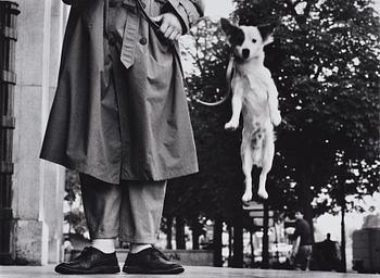 102. Elliott Erwitt, "Paris, France, 1989".