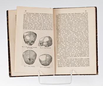 BOK, "Frenologien i sammandrag" av Wilhelm Kjellgren, , Örebro 1862.