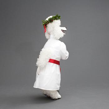 HUND, pudel, "Ulla", NK 2013, JoAnn Tan Studio.