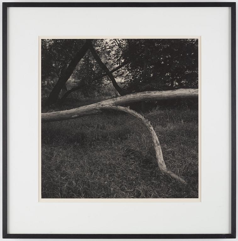 GUNNAR SMOLIANSKY, photograph signed on verso.