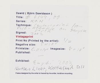 Dawid (Björn Dawidsson), "#6144" ur serien RAN, 2000.