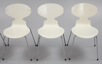 Arne Jacobsen, stolar, 6 st., "Myran", Fritz Hansen, Danmark,