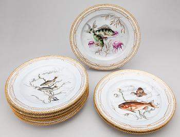 TALLRIKAR, 8 st. Porslin. "Fauna Danica", Hausmalerei. Royal Copenhagen, 1800/1900-tal.