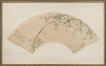 Oidentifierad konstnär, s.k. "Solfjädersmålning", Svalor med blommande prunus, Kina, sen Qingdynasti / tidigt 1900-tal.