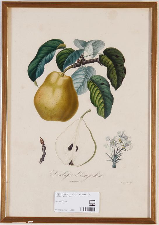 TRYCK, 5 ST. Frankrike, 1800/1900-tal.