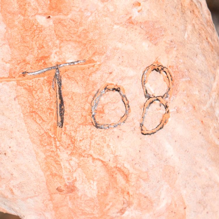 TOMMI TOIJA, "PAHA POIKA".