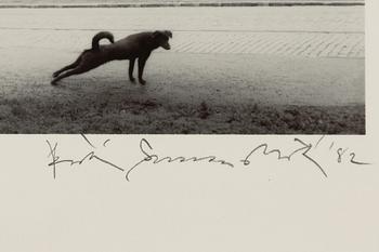Pentti Sammallahti, Utan titel, 1982.