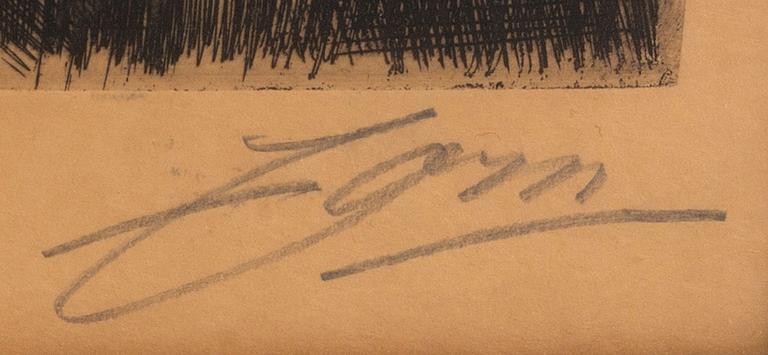 Anders Zorn, etsning, 1891, signerad.