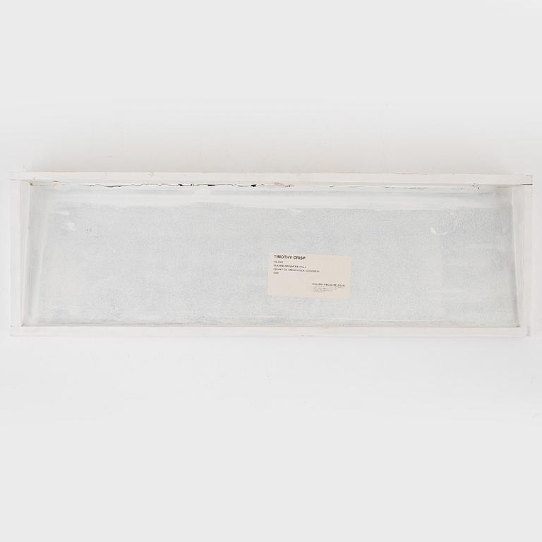 Timothy Crisp, Utan titel, 2009.