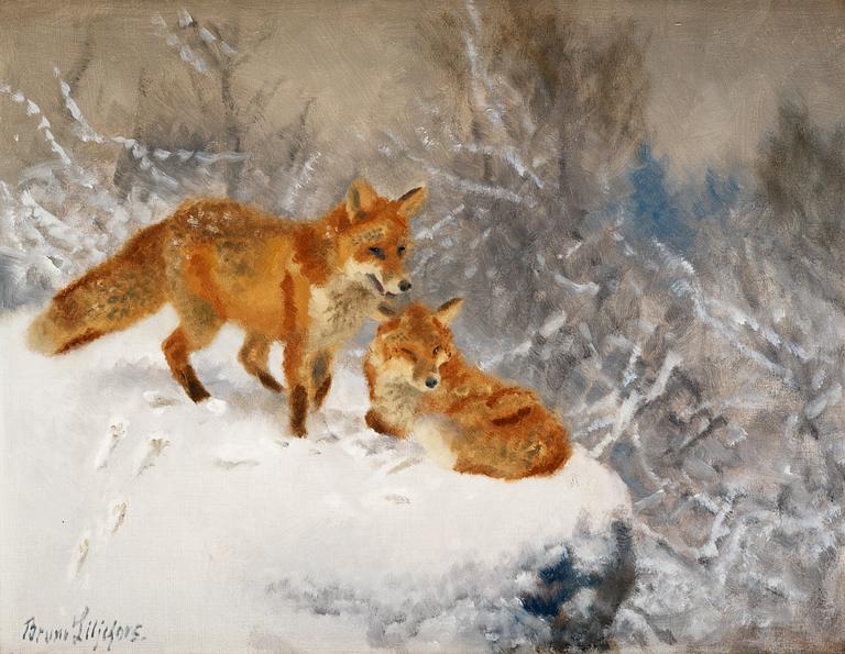 Bruno Liljefors, Two foxes in winter landscape.