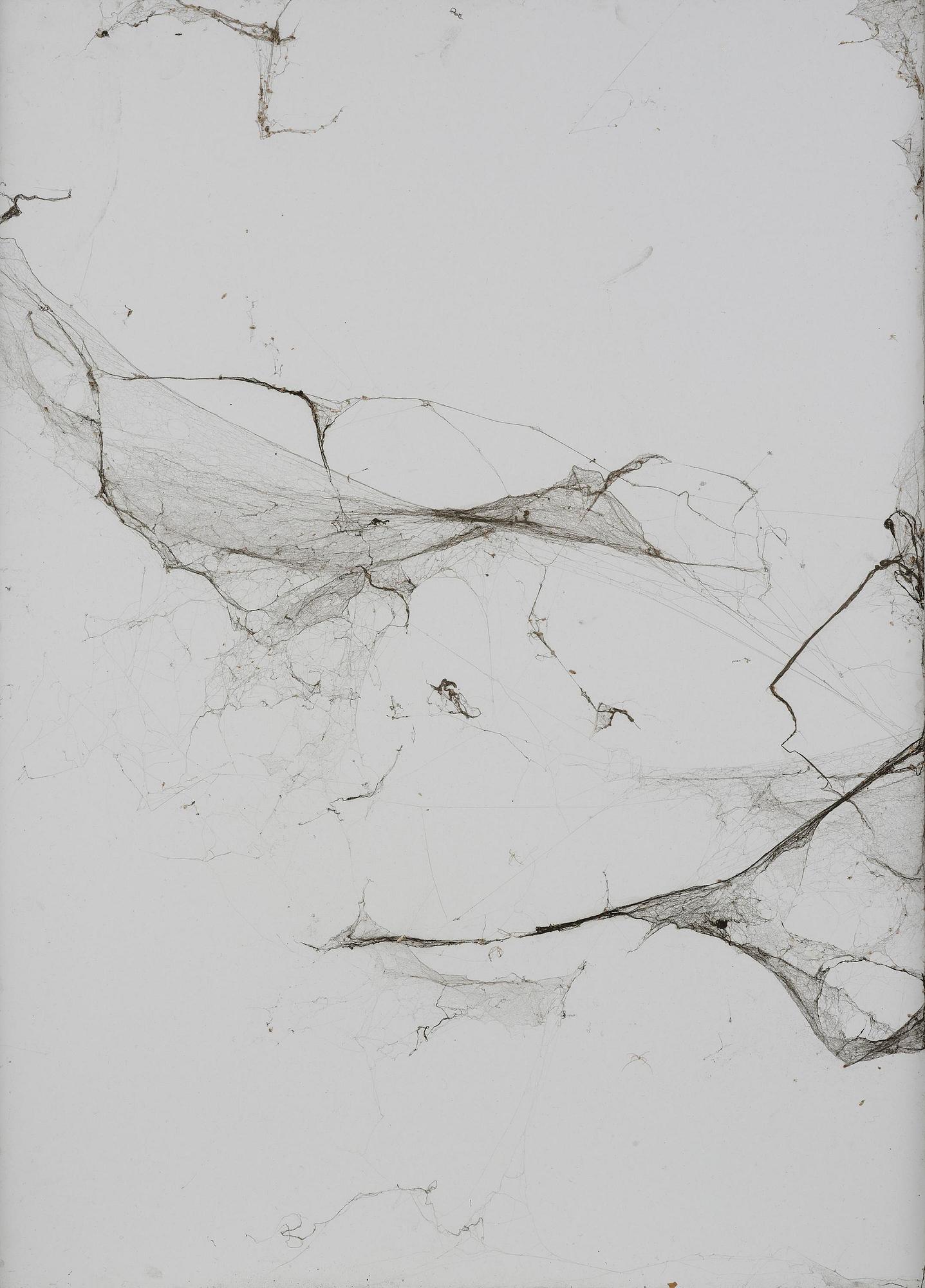 Untitled.
