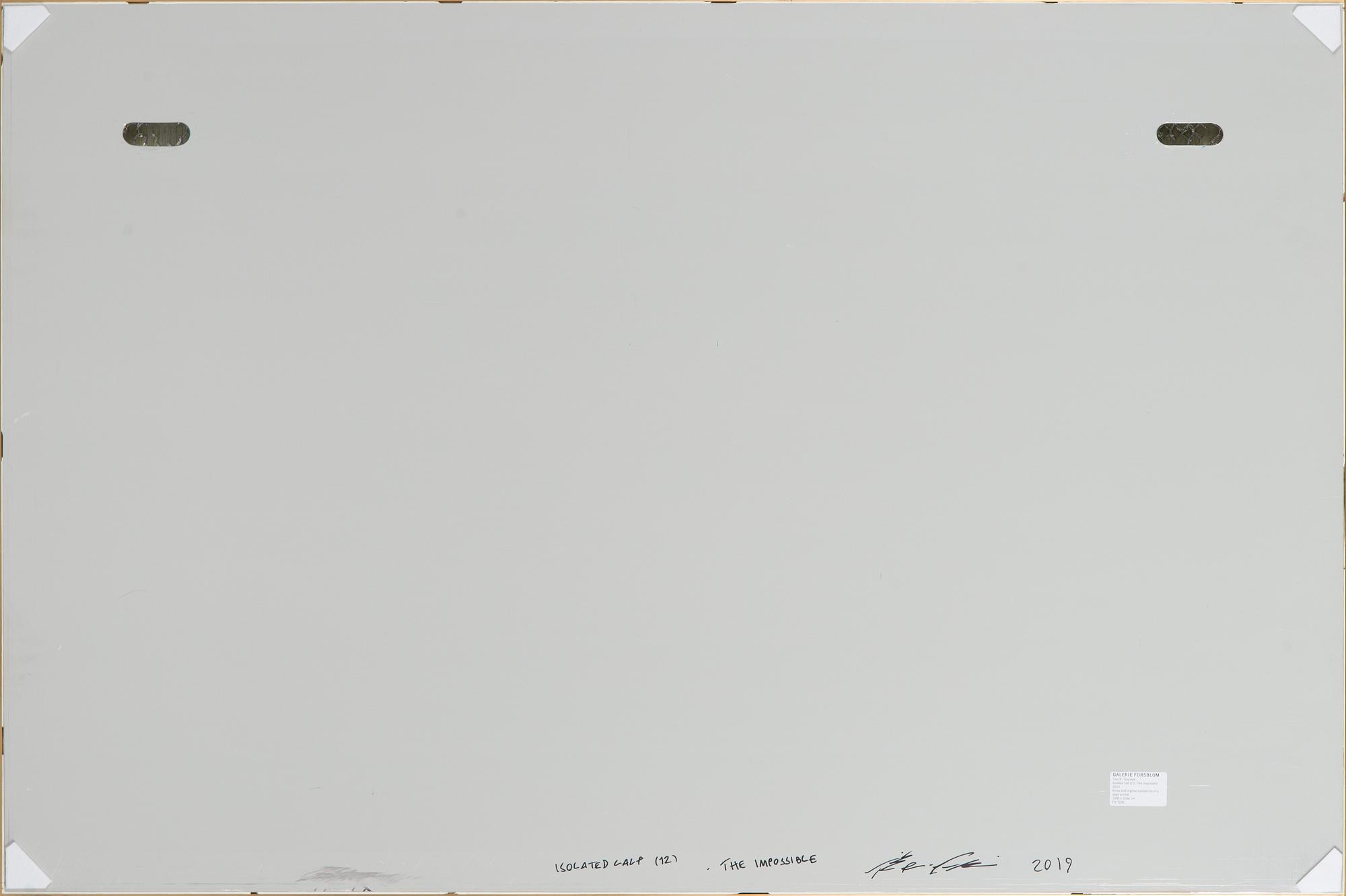 Toni R. Toivonen, "Isolated Calf (12). The Impossible".