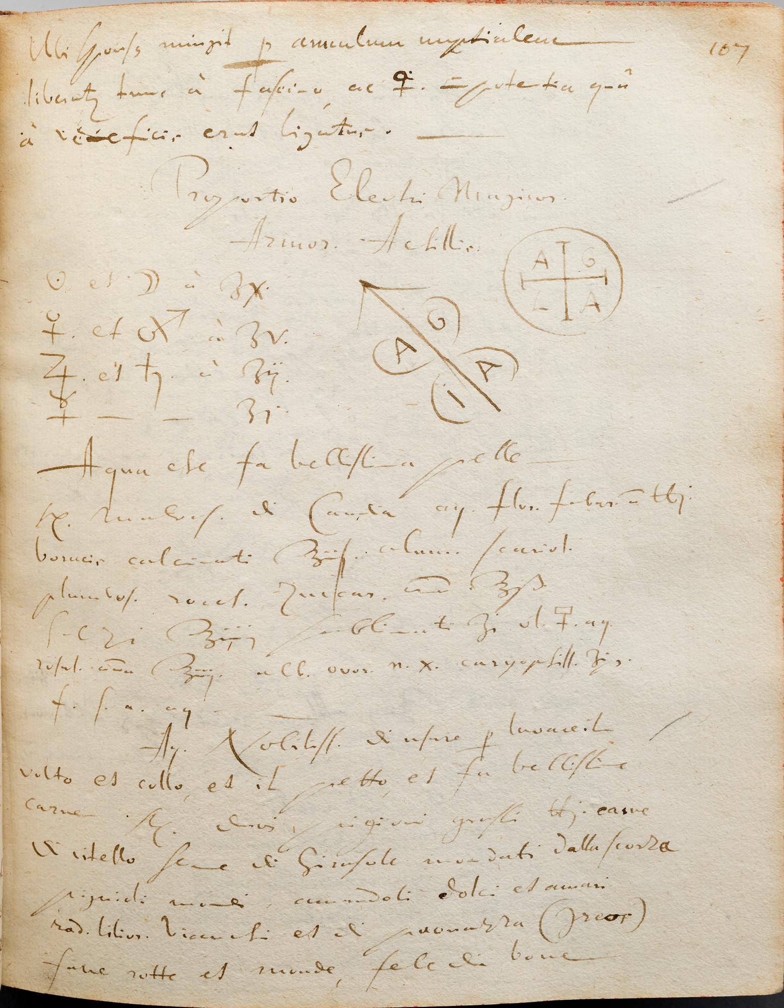 Manuscripts, from Queen Christina's 17th century library,  'Manuscript Medici I'.