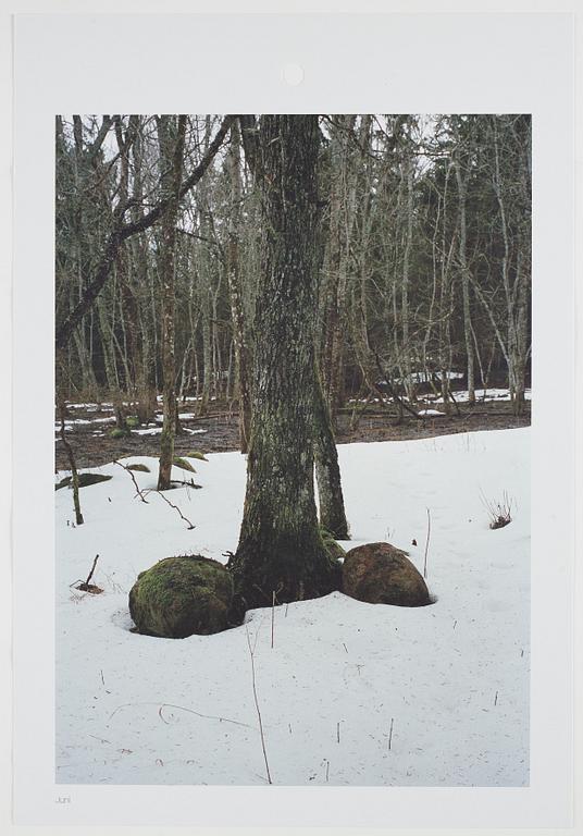 ANDREAS ERIKSSON, portfolio. Signed AE inside the box and numbered 18/250.