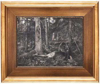 Bruno Liljefors, Bear with prey.