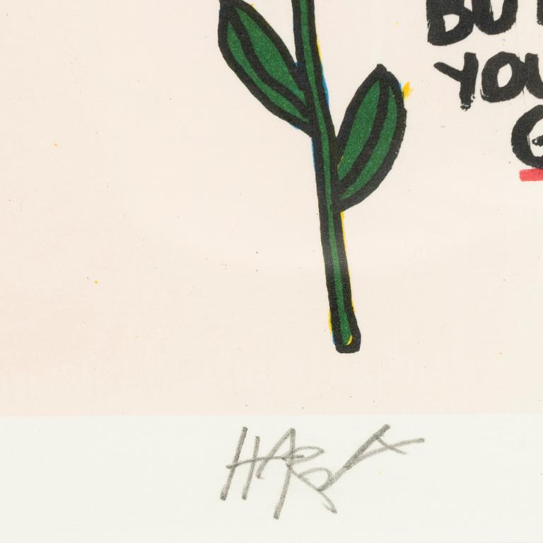 Harry Anderson, lithograph in colours, signed 2/250.