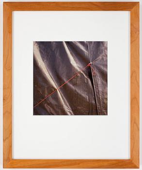 PETTER ANTONISEN, C-Print, sign a tergo.