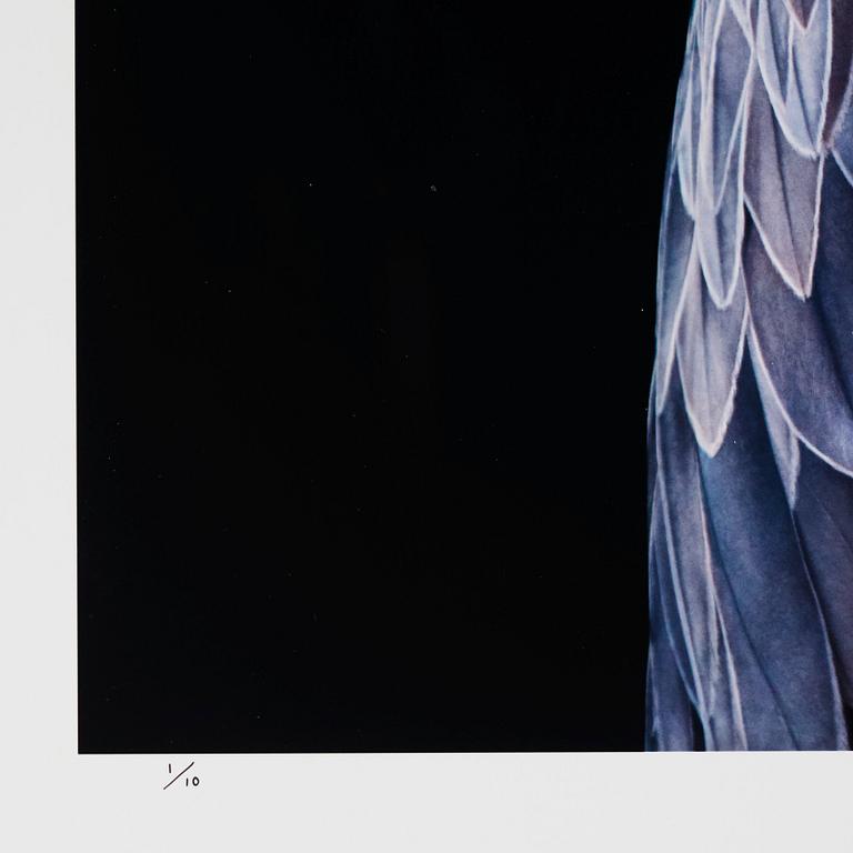 Tim Flach, "Shoebill", 2018.