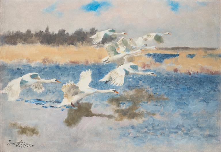 Bruno Liljefors, Swans.