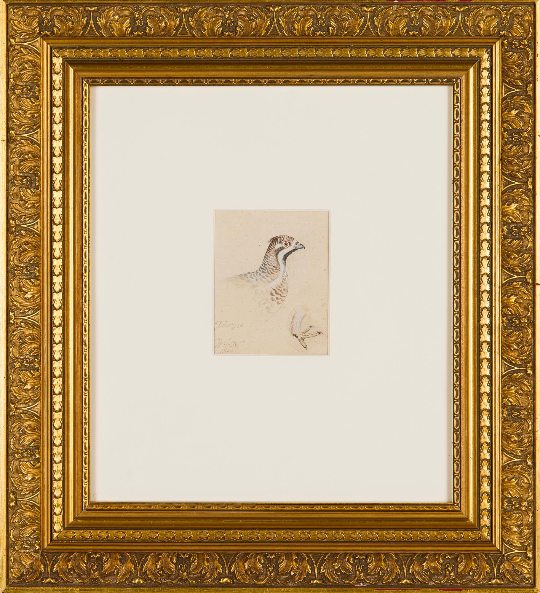 Wilhelm von Wright, Järpe.