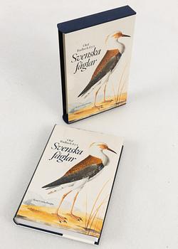 Olof Rudbeck d.y., "Svenska fåglar".