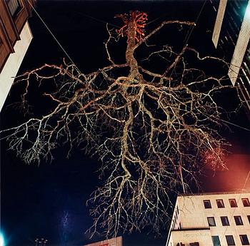 220. Charlotte Gyllenhammar, "Dö för dig, natt", 1993/2001.