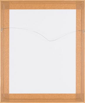 Canal Cheong-Jagerroos, Sommitelma.