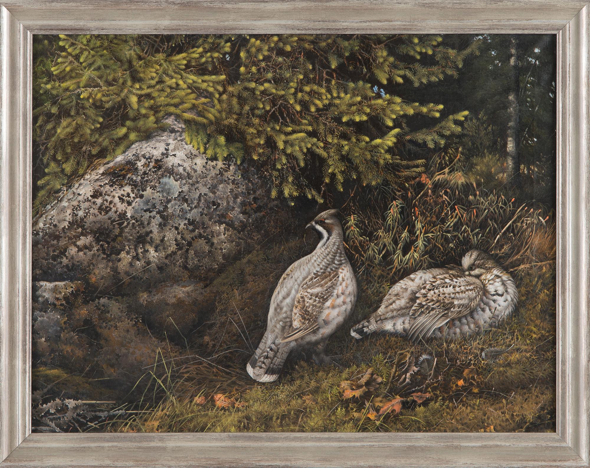 Teppo Terä, Bird pair in Forest.