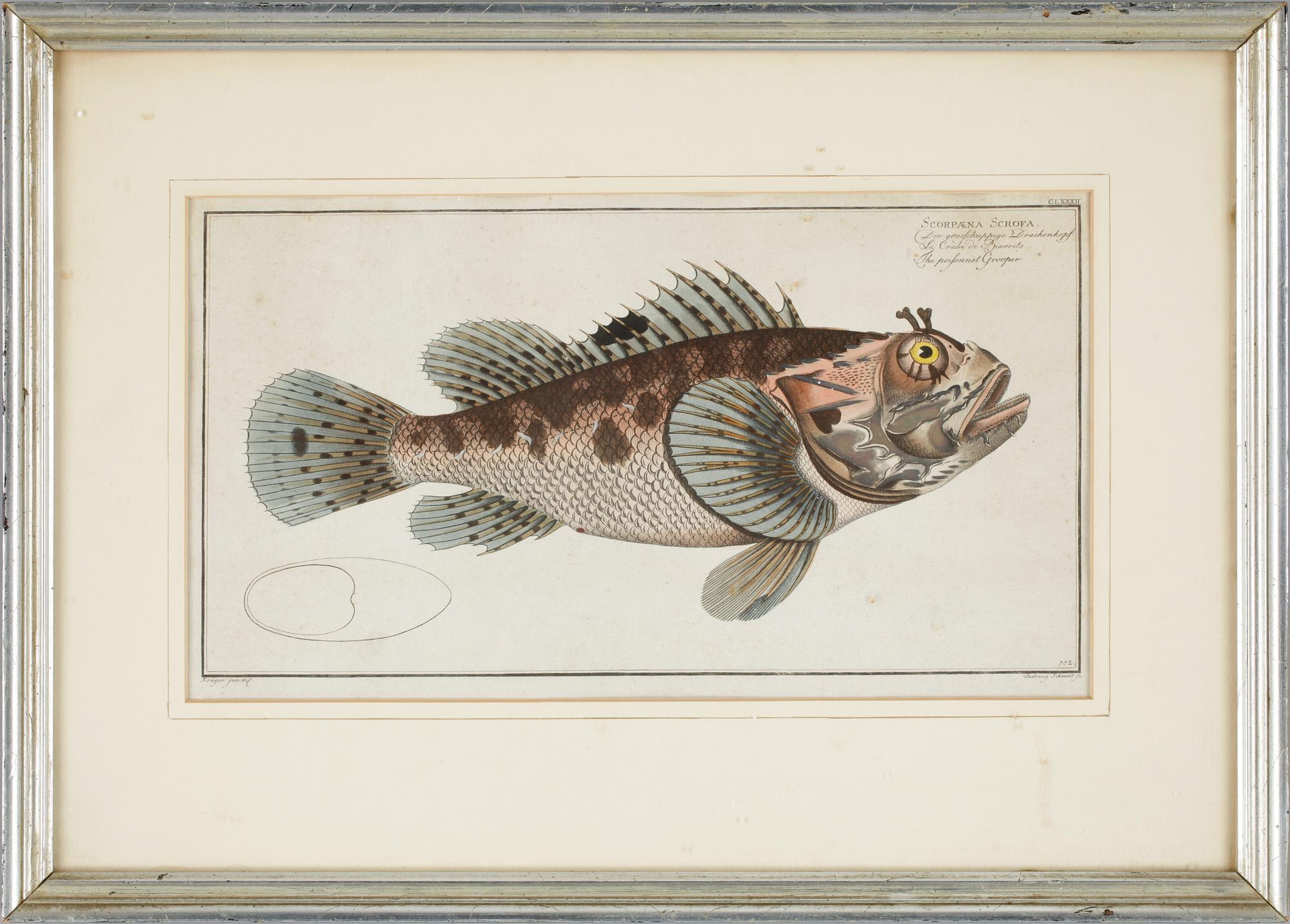 LUDWIG SCHMIDT, kolorerat kopparstick, utgiven 1782-95.